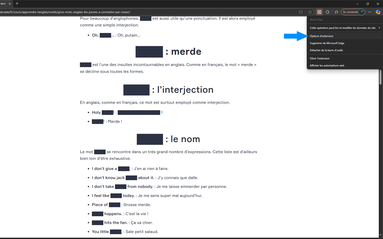Word Filter - Image 4